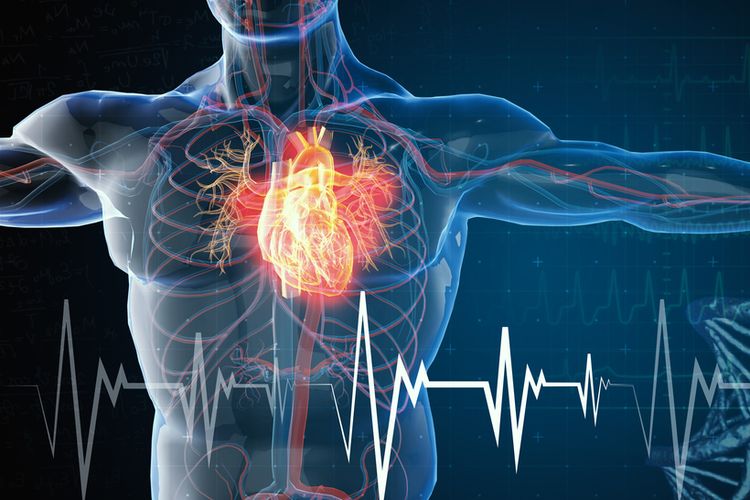 Waspadai 11 Ciri-ciri Penyakit Jantung di Usia Muda