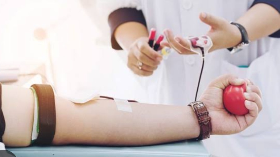 Daftar 11 Orang yang Tak Boleh Donor Darah