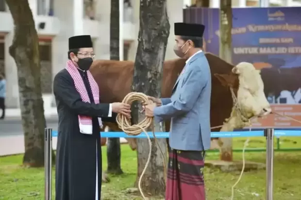 Jokowi Segera Salurkan 68 Ekor Sapi untuk Idul Adha 1445 Hijriah