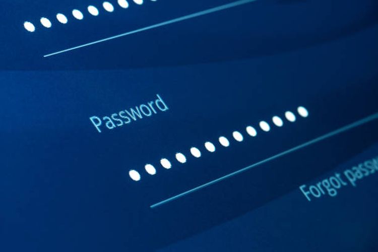Akses Server PDNS cuma Pakai Password Admin#1234 Mudah Dibobol