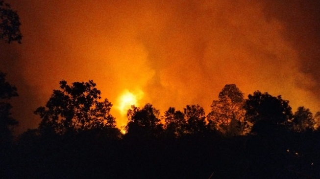 Taman Nasional Way Kambas Kebakaran, Banyak Satwa Jadi Korban